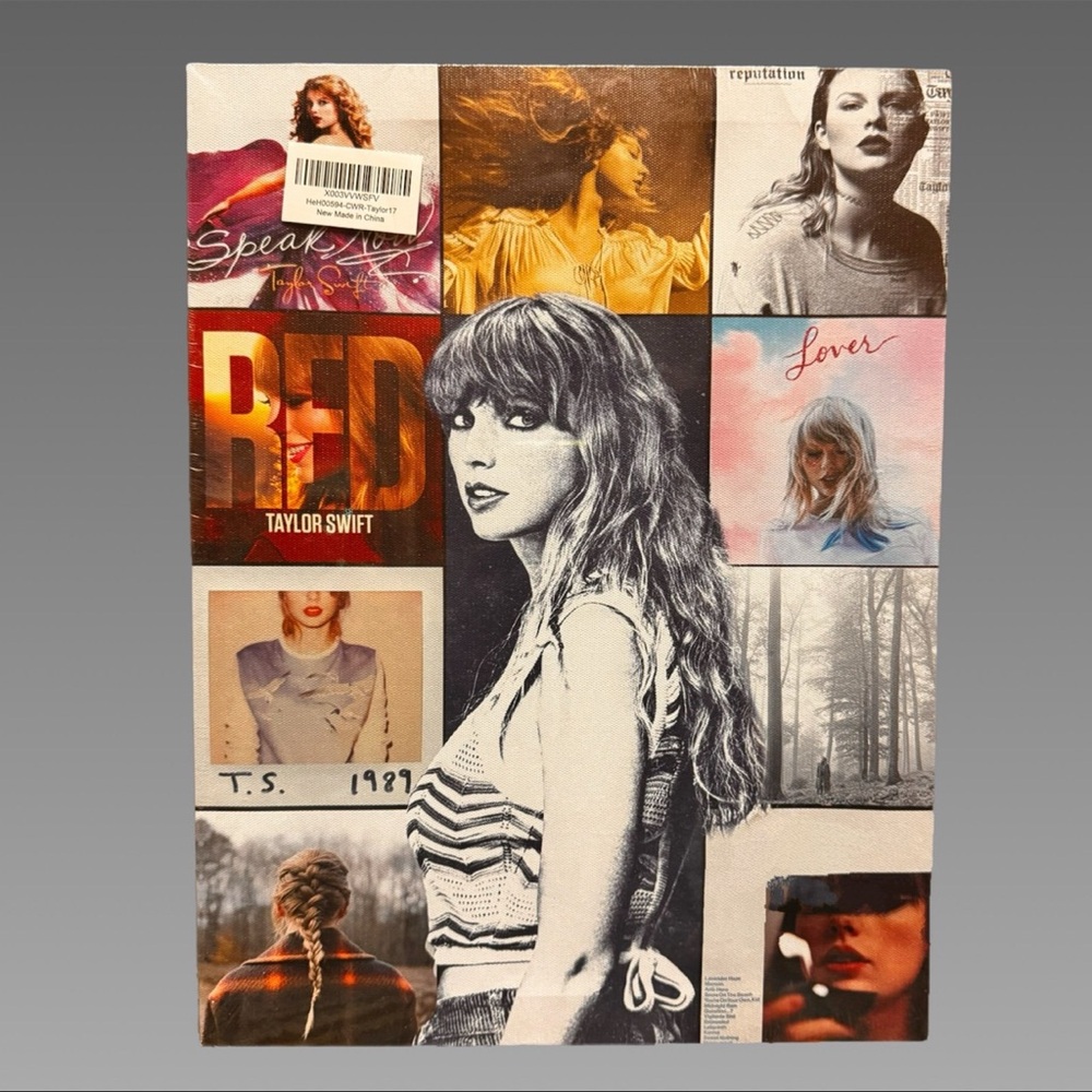 NWT 11x14.5” Taylor Swift canvas‎